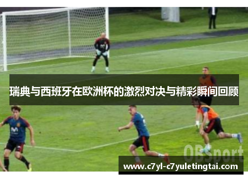 瑞典与西班牙在欧洲杯的激烈对决与精彩瞬间回顾